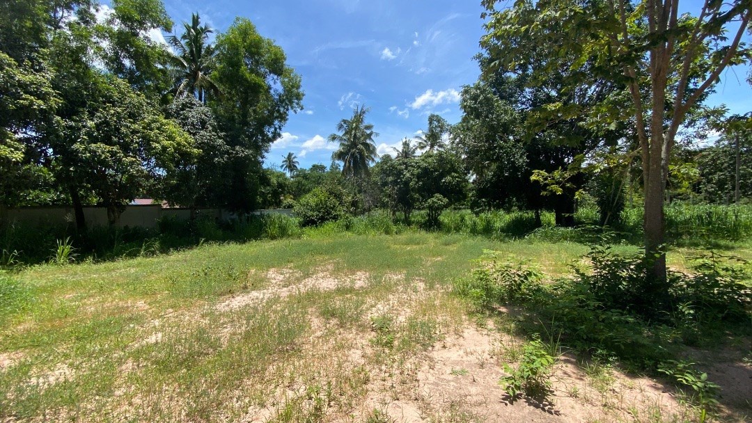 Unique 6+ rai forested land plot with pond - all on a quiet country lane near Siam Country Club and Horseshoe Point.  - Land - Lake Maprachan - 