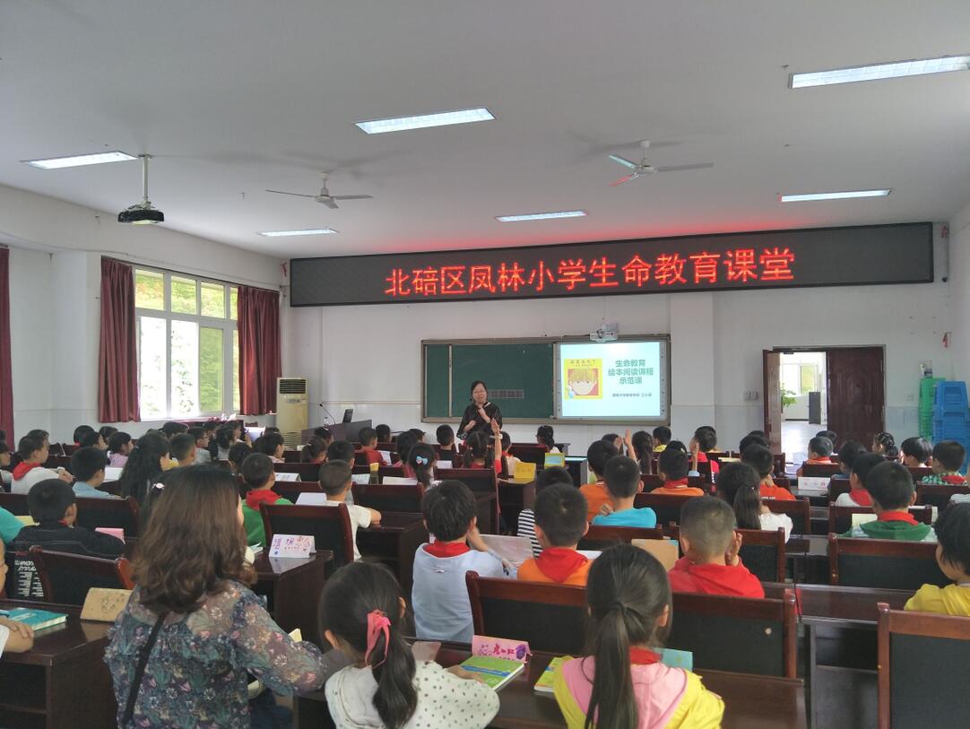 365英国上市集团