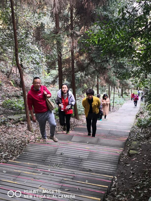 365英国上市集团