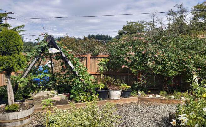 365英国上市集团