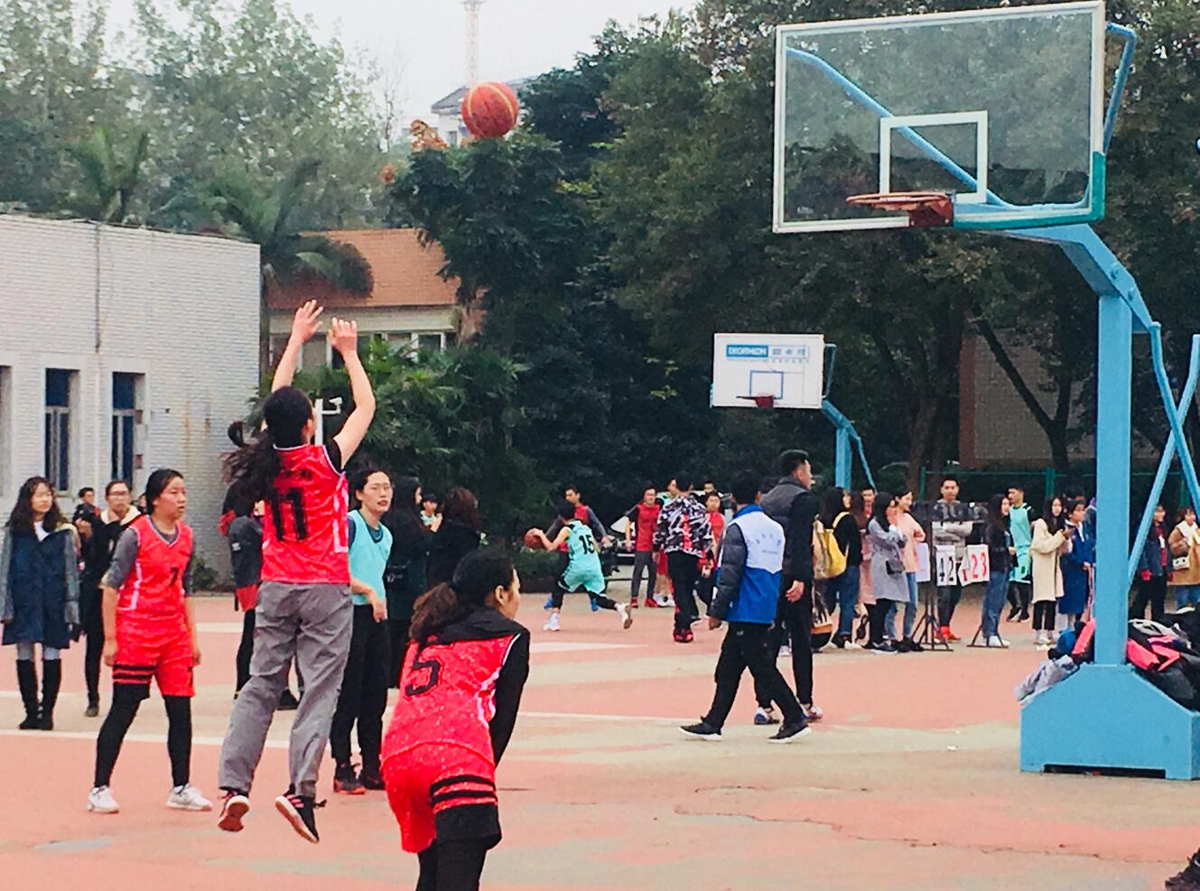 365英国上市集团